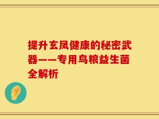 提升玄凤健康的秘密武器——专用鸟粮益生菌全解析