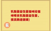 乳酸菌益生菌猫咪给猫咪喂食乳酸菌益生菌，提高肠道健康)