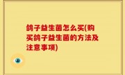 鸽子益生菌怎么买(购买鸽子益生菌的方法及注意事项)