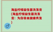 海盐柠檬益生菌洗发膏(海盐柠檬益生菌洗发膏：为你带来健康秀发)