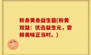 粉条黄条益生菌(粉黄双益：优选益生元，尝鲜美味正当时。)