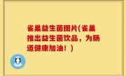 雀巢益生菌图片(雀巢推出益生菌饮品，为肠道健康加油！)