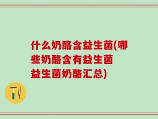 什么奶酪含益生菌(哪些奶酪含有益生菌  益生菌奶酪汇总)