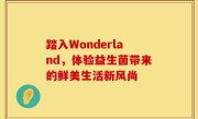 踏入Wonderland，体验益生菌带来的鲜美生活新风尚