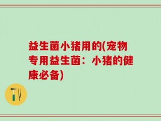 益生菌小猪用的(宠物专用益生菌：小猪的健康必备)