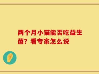 两个月小猫能否吃益生菌？看专家怎么说