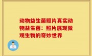 动物益生菌照片真实动物益生菌：照片展现微观生物的奇妙世界