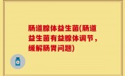 肠道腺体益生菌(肠道益生菌有益腺体调节，缓解肠胃问题)