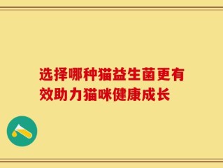 选择哪种猫益生菌更有效助力猫咪健康成长