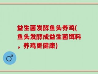 益生菌发酵鱼头养鸡(鱼头发酵成益生菌饵料，养鸡更健康)