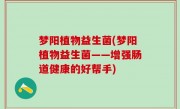 梦阳植物益生菌(梦阳植物益生菌——增强肠道健康的好帮手)