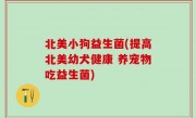 北美小狗益生菌(提高北美幼犬健康 养宠物吃益生菌)