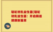 骆驼初乳益生菌(骆驼初乳益生菌：开启肠道健康新篇章