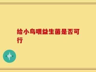 给小鸟喂益生菌是否可行