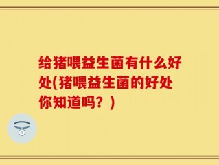 给猪喂益生菌有什么好处(猪喂益生菌的好处你知道吗？)