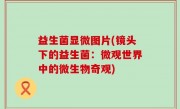 益生菌显微图片(镜头下的益生菌：微观世界中的微生物奇观)