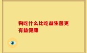 狗吃什么比吃益生菌更有益健康