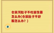 仓鼠泻肚子不吃益生菌怎么办(仓鼠肚子不舒服怎么办？)