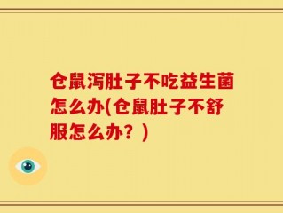 仓鼠泻肚子不吃益生菌怎么办(仓鼠肚子不舒服怎么办？)