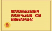 阳光玫瑰加益生菌(阳光玫瑰与益生菌：促进健康的良好组合)