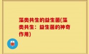 藻类共生的益生菌(藻类共生：益生菌的神奇作用)