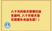 八个月的柴犬需要吃益生菌吗_八个月柴犬是否需要补充益生菌？)