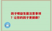 鸽子喂益生菌注意事项？让你的鸽子更健康？