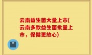云南益生菌大量上市(云南多款益生菌批量上市，保健更放心)