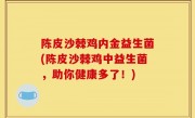 陈皮沙棘鸡内金益生菌(陈皮沙棘鸡中益生菌，助你健康多了！)