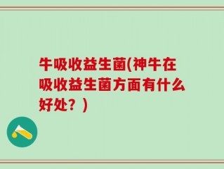 牛吸收益生菌(神牛在吸收益生菌方面有什么好处？)