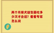 两个月柴犬益生菌吃多少次才合适？看看专家怎么说