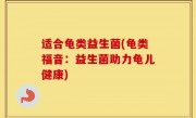 适合龟类益生菌(龟类福音：益生菌助力龟儿健康)