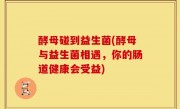 酵母碰到益生菌(酵母与益生菌相遇，你的肠道健康会受益)
