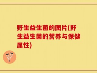 野生益生菌的图片(野生益生菌的营养与保健属性)