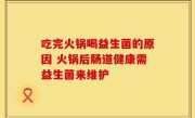 吃完火锅喝益生菌的原因 火锅后肠道健康需益生菌来维护