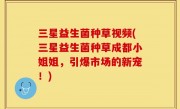 三星益生菌种草视频(三星益生菌种草成都小姐姐，引爆市场的新宠！)