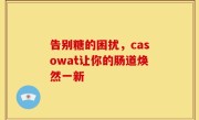 告别糖的困扰，casowat让你的肠道焕然一新