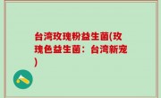 台湾玫瑰粉益生菌(玫瑰色益生菌：台湾新宠)