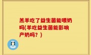 羔羊吃了益生菌能喂奶吗(羊吃益生菌能影响产奶吗？)