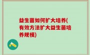 益生菌如何扩大培养(有效方法扩大益生菌培养规模)