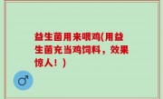 益生菌用来喂鸡(用益生菌充当鸡饲料，效果惊人！)