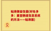 粘液便益生菌(好处多多：重塑肠道生态系统的方法——粘液菌)