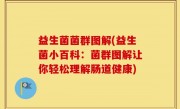 益生菌菌群图解(益生菌小百科：菌群图解让你轻松理解肠道健康)