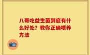 八哥吃益生菌到底有什么好处？教你正确喂养方法