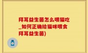 拜耳益生菌怎么喂猫吃_如何正确给猫咪喂食拜耳益生菌)