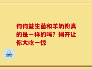狗狗益生菌和羊奶粉真的是一样的吗？揭开让你大吃一惊