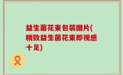 益生菌花束包装图片(精致益生菌花束即视感十足)