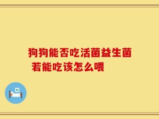 狗狗能否吃活菌益生菌 若能吃该怎么喂