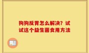 狗狗反胃怎么解决？试试这个益生菌食用方法