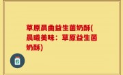 草原晨曲益生菌奶酥(晨曦美味：草原益生菌奶酥)